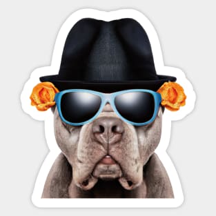 Cool Dog with a Hat Sticker